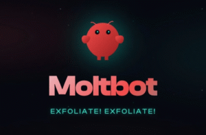 moltbot-main-image