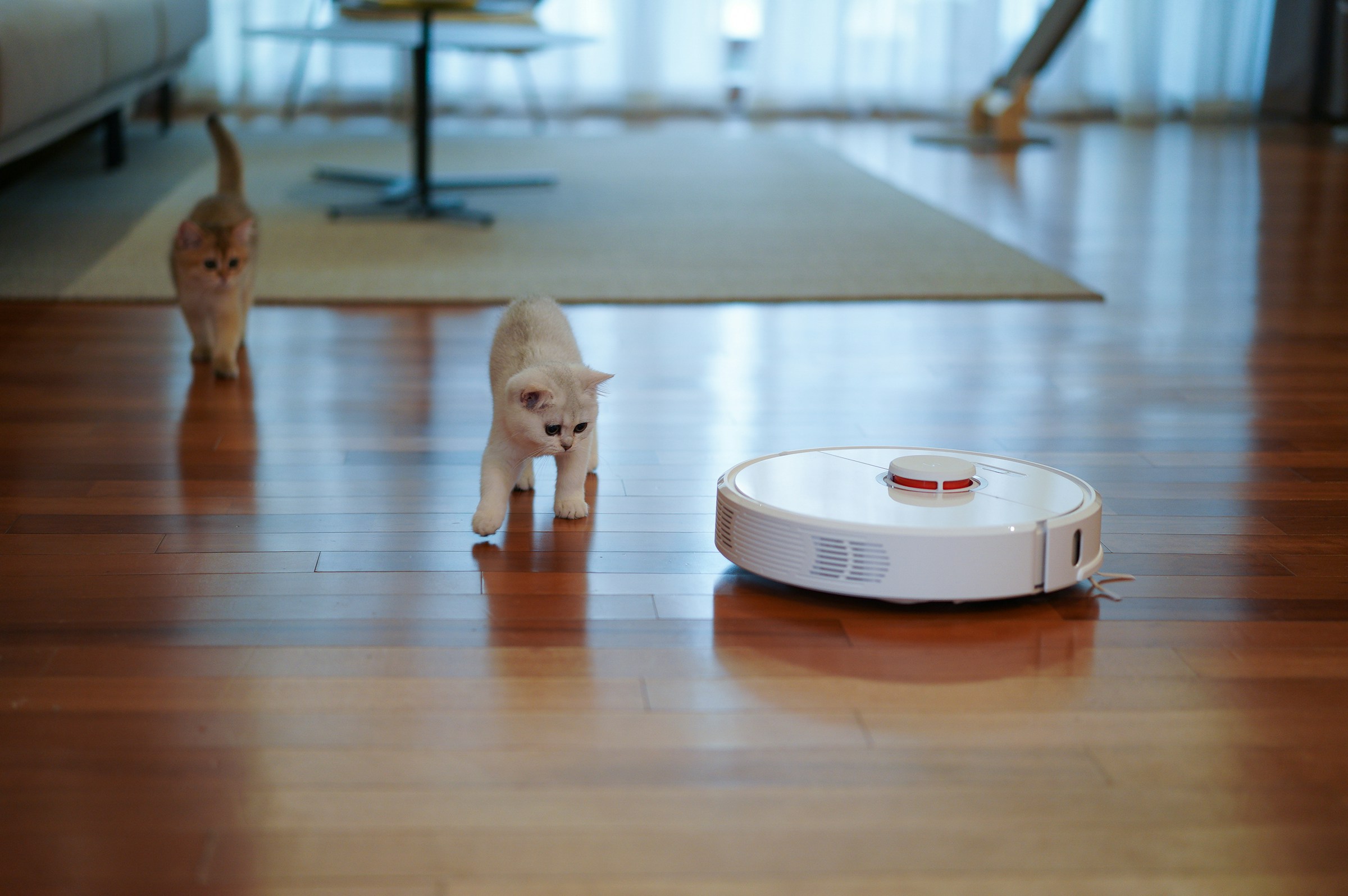 Robots aspiradores 2026