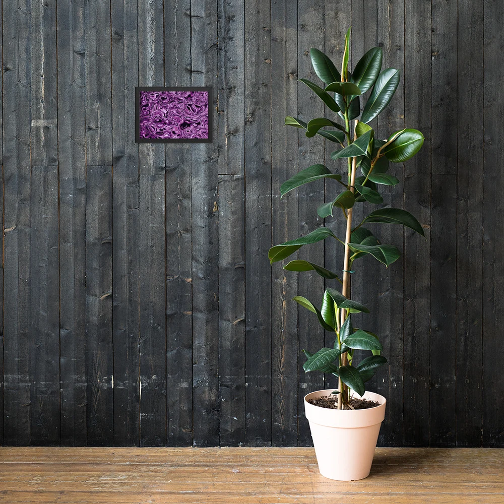 Cuadro enmarcado premium, diseño Amatista en 30 × 21 cm: 17829