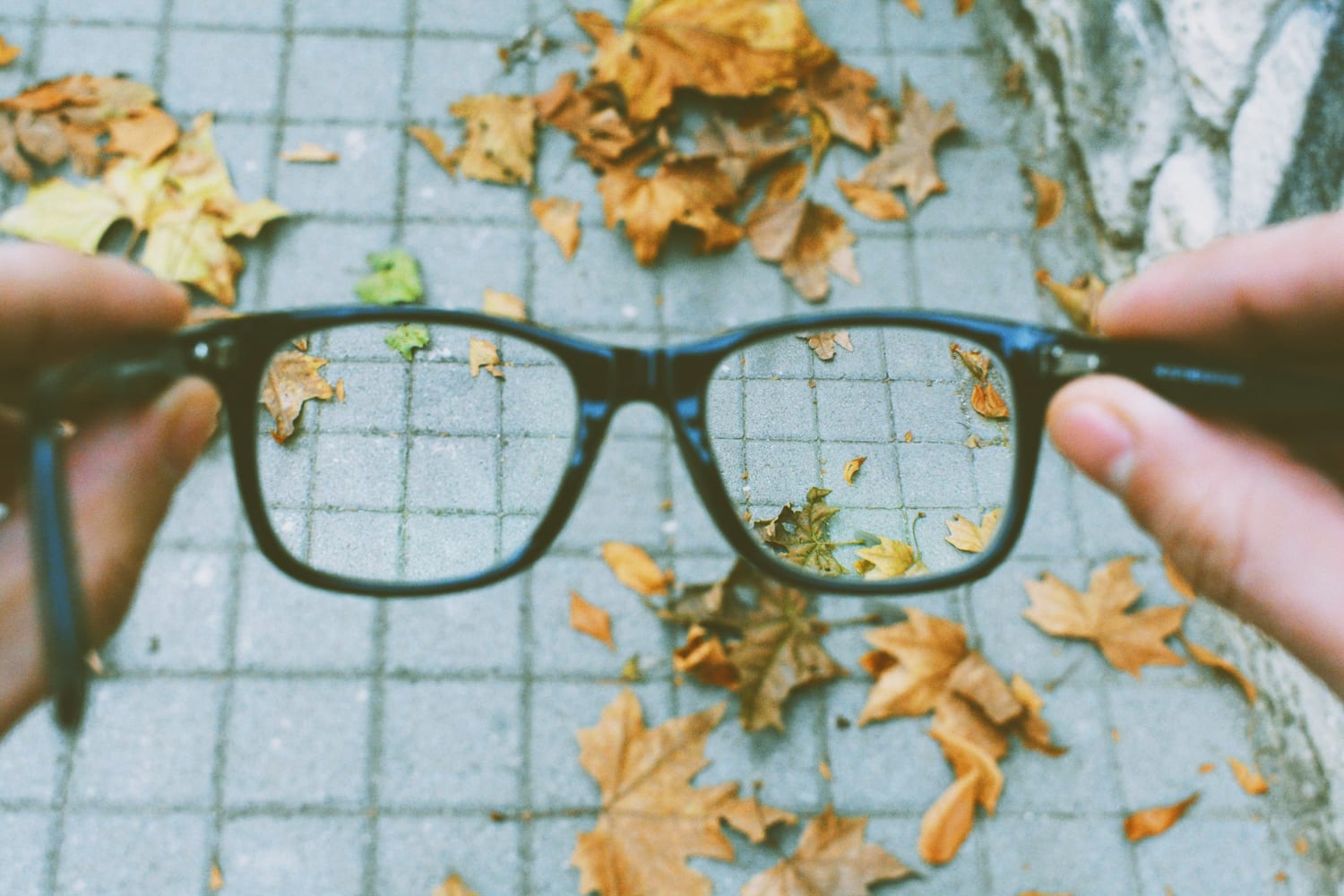 Dos manos sostienen unas gafas de montura negra sobre un suelo con hojas de otoño
