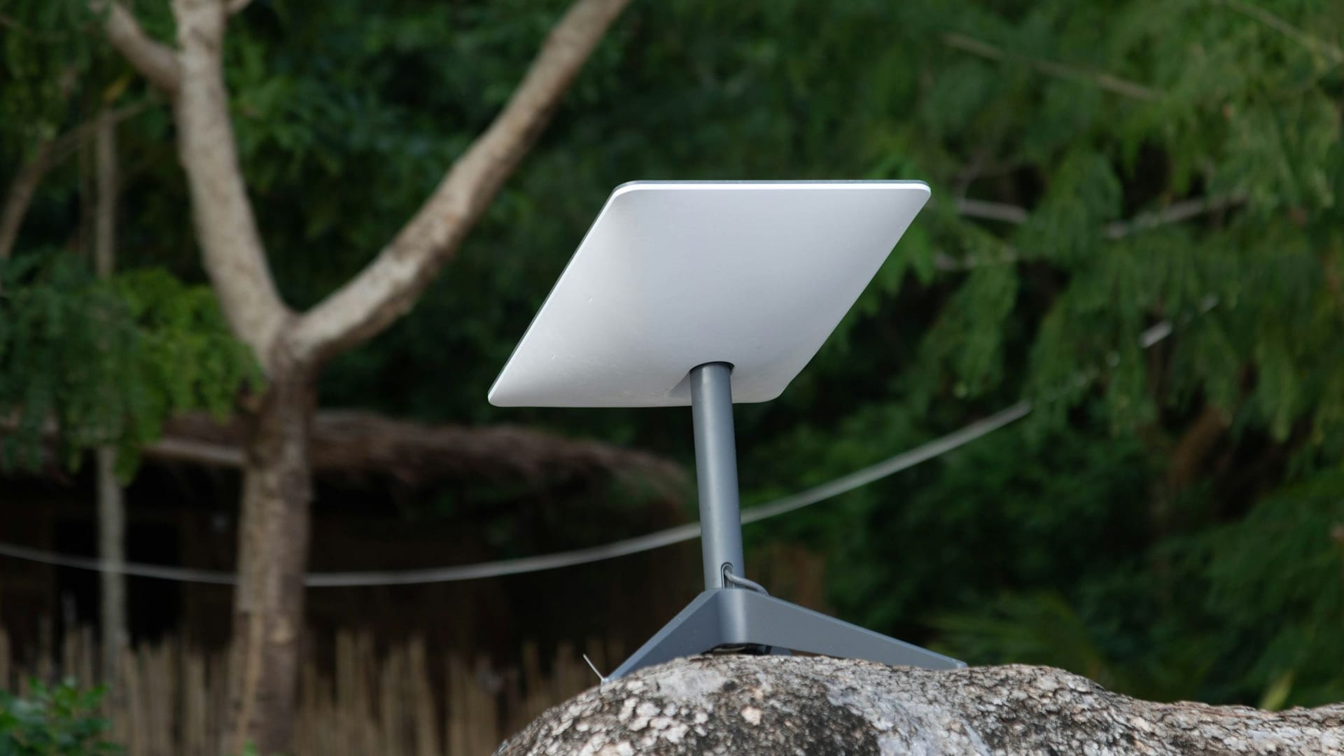 Una antena Starlink de las de casa, sobre su pata, encima de una roca en medio de un bosque